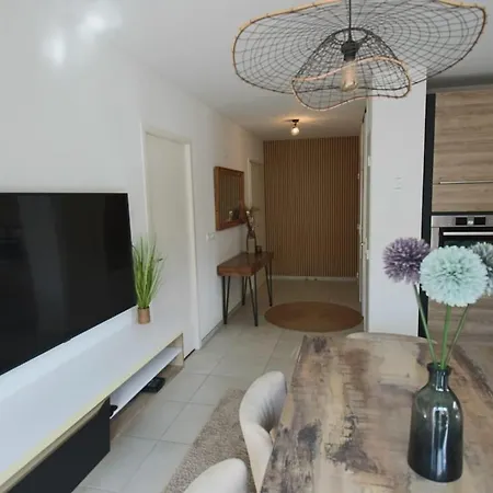 公寓 T3 75 M2 3 Chambres, Balcon, Aix Les Bains *