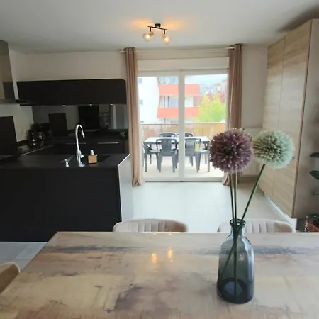 公寓 T3 75 M2 3 Chambres, Balcon, Aix Les Bains